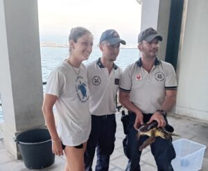 Salvata Sulla Spiaggia Di Giardini Naxos Una Tartaruga Caretta Caretta 